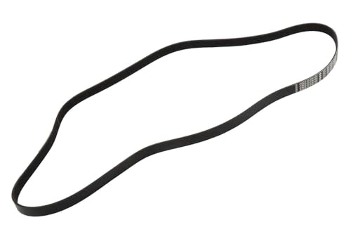 Courroie d'origine GM ACDelco 55578485 la qualité supérieure standard