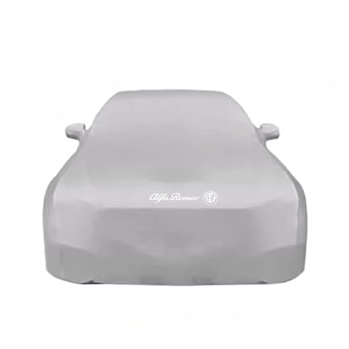 �A���t�@�����I �X�p�C�_�[ �R���o�[�`�u�� 2023 2024 �ԗp�J�[�J�o�[�A�L�k���̂���R�b�g�����̎ԃJ�o�[,�ԃJ�o�[,�S�V��^�t���J�o�[�A�ʋC���v���e�N�^�[�A����/���O�ł̎g�p�ɂ҂�����t�B�b�g,2 ����-D Silver [���s�A���i]