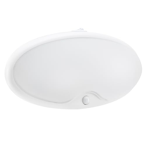 RecPro RV Oval Motion Ceiling Lights (2 Pack)