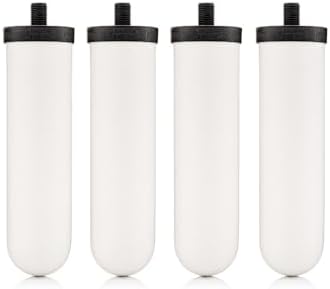 Ceramic Water Filter as a Household Water Treatment System