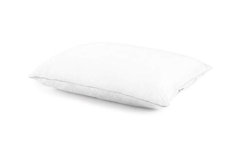 Revel Hybrid Luxury 14oz Duck Down and Shredded Memory Foam Pillow (Queen),...