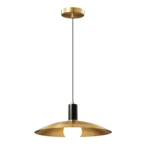 Lumière du plafond industriel pour illuminer les pièces sombres avec style
