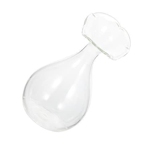 Angoily Glass Containers 1 Pc Florero Vidrio Transparente Florero Botellas Vidrio Frascos Vidrio para Flores Macetero Alto Jarrones Altos Vidrio Transparente Plantas Acuáticas En Casa