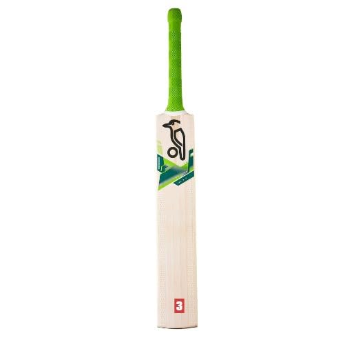 Pro Game Poplar Willow Cricket Bat (SIZE-03)(for Kids 5 to 7Yr) (B0CCPG72J8) Amazon Price History, Amazon Price Tracker