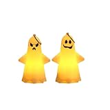 ハロウィン 飾り 亡霊 幽霊 ゴースト LED ライトランタン 卓上ライト 室内ライト 5 点セット 5 個 5 種セット 電池式 電池付き 小型軽量 かわいい おしゃれデザイン 光るおもちゃ 室内 玄関 バー 居酒屋 パーティー お化け屋敷 縁日 お祭り適応 雰囲気作り 装飾景品 プレゼント 子供大人向け (H-2個入り)