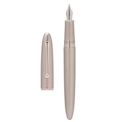 Hongdian 620 Pluma estilográfica, punta extrafina de iridio, barril de color plateado, instrumento de escritura suave con convertidor y juego de estuche de metal