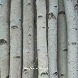 Six Thin White Birch Poles 8 ft