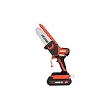 ECHO DHS-3006X1 56V Battery Powered Handheld Pruning Saw with 2.5Ah Battery and Top Mount Charger