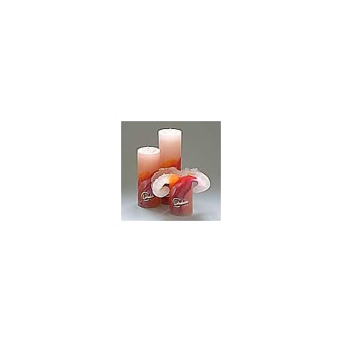 Lotus Candle Art Fire 7.09" Cover