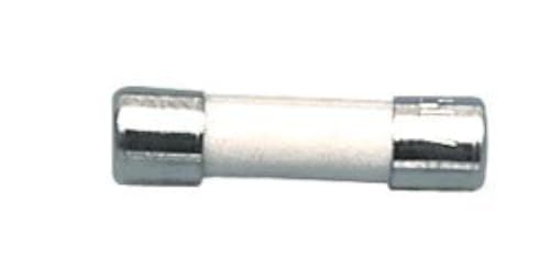 electrosmart Pack of 2 10 Amp T10AH 250V 20mm x 5mm Ceramic Fuse - Time Delay/Time Lag/Slow Blow