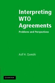 Interpreting WTO Agreements: Problems and Perspectives