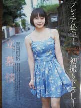 Amazon.co.jp: 切り抜き （a876-1)吉岡里帆 週刊 プレイボーイ