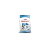 Royal Canin Mini Starter Mother & babydog, 1er Pack (1 x 1 kg)