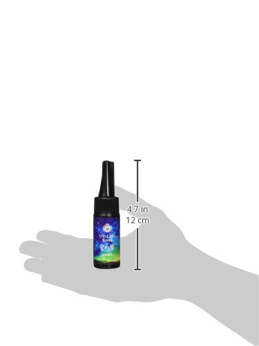 Amazon | PADICO パジコ UV-LEDレジン 星の雫ハードタイプ 25g 2本