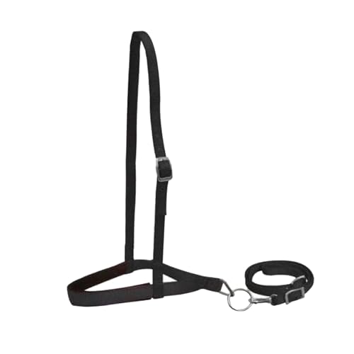 Showman Pony Size Premium Nylon Noseband Tie Down w/Strap (Black)