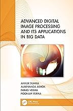 Advanced Digital Image Processing and Its Applications in Big Data