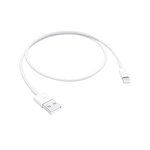 Apple Lightning to USB Cable (0.5 m)