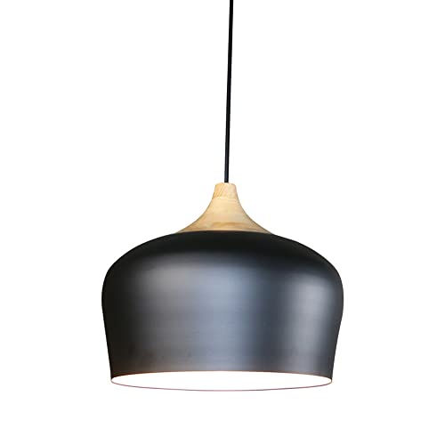 Luminaires de pendentif de plafond noir pour chambre et salon cosy