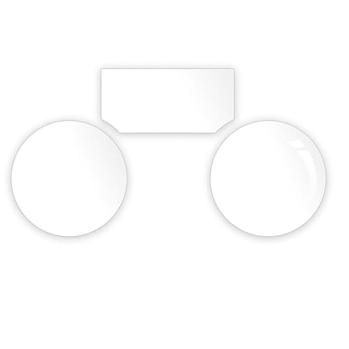 ɓK ZZR1400 ɓK ɂ񂶂 ZX-14 2012-2023 oCNp h~ NX^[ی vXN[ _bV{[htB