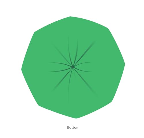 3 Gallon Compostable Food Scrap Bags by BioBag, 100 Count, BPI Certified, Meets ASTM D6400 Standards, Made in USA, Kitchen Trash Bin Liners