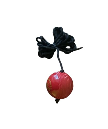 PSE Synthetic Ball with a Cord Cricket Hanging & Knocking Ball for Indoor & Outdoor Training |Practice| Batting 2 21wLUvahH8L