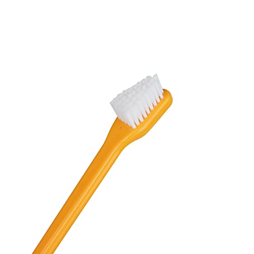 dog Toothbrush and Toothpaste Kit for Pet Dog Puppy Oral Hygiene Care Dental Plaque Tartar Remover Improve Gums Freshen Breath - Image 5