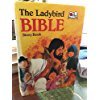 Paperback Bible Story Book (Large Gift) Book