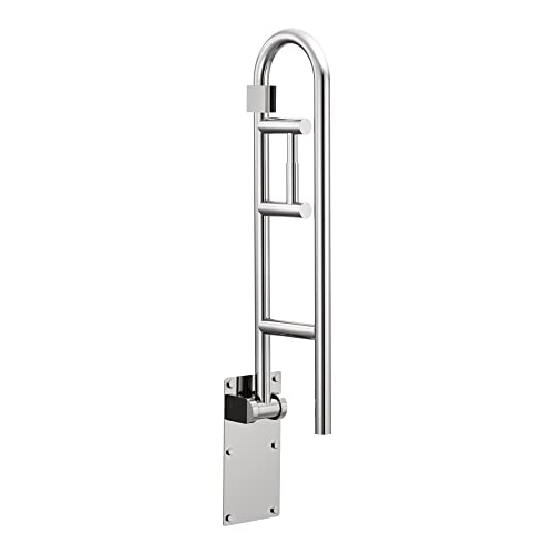 Moen R8962FD Bathroom Safety 30-Inch Flip-Up Bathroom Grab Bar with White Toilet Paper Holder, Stainless
