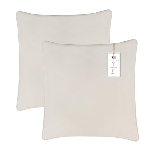 A1HC Set of 2 Luxurious Fine Soft Velvet Throw Pillow Covers Only, for Sofas, Beds, Vibrant Colors and Hidden Zipper. Enhance Your Living Space with Decorative Couch Pillow 22"x22", Beige