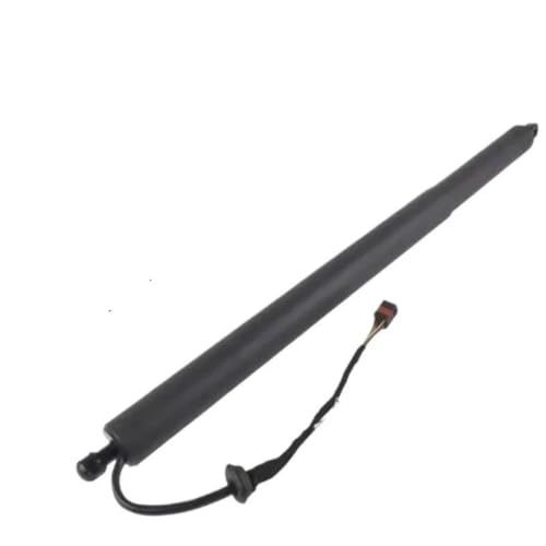 Support levage hayon électrique amorti et fluide pour Palisade - 3