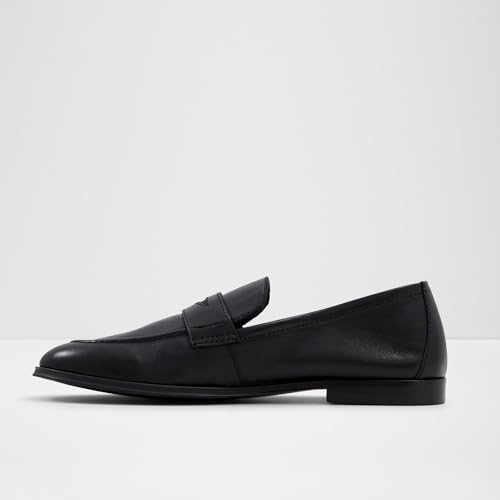 Image of ALDO Men's Journey