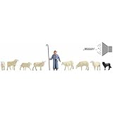 Noch 12911 Schafherde (mit Sound)