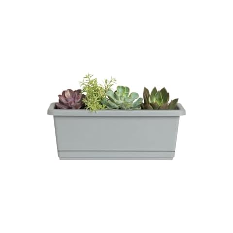 Root & Vessel Majestic Windowsill Planter, Gray, 12" Cover