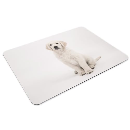 Sets de table antidérapants chiot labrador grand format contre les taches - 3