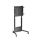 Ewent TV-Ständer mit Rollen für Plasma/LCD/LED-Bildschirme 60–100, bis 95 kg, Manuelle Höhenverstellung ohne Kraftaufwand, mit Kabelführung, VESA max. 800x600 mm, Mobiler TV-Wagen Schwarz
