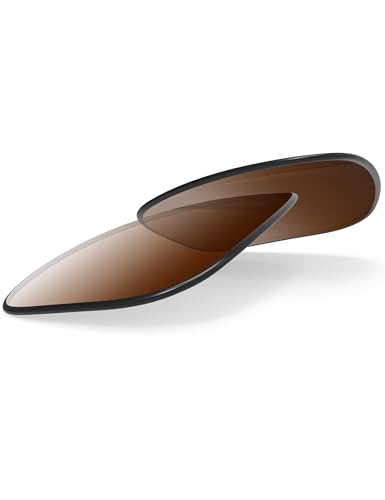 Image of BLAZERBUCK Photochromic Replacement Lenses Compatible with Ray-Ban Meta Wayfarer RW4006 | RW4012 (Gen 2) 50mm Smart Glasses