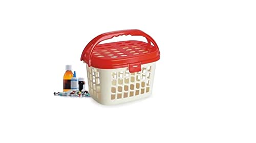 Nakoda Maharaja Basket With Lid Multipurpose Use for Kitchen & Home Organiser Box for Fruits Vegetables, Toys, Stationary items, Small - Color May Vary, (262 x 190 x 168)