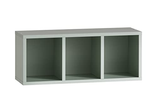 Schildmeyer Bjarne Regal 153156, Pistazie, 60,2,3 x 21,5 x 24,7 cm Schildmeyer Bjarne Regal 153156, Pistazie, 60,2,3 x 21,5 x 24,7 cm