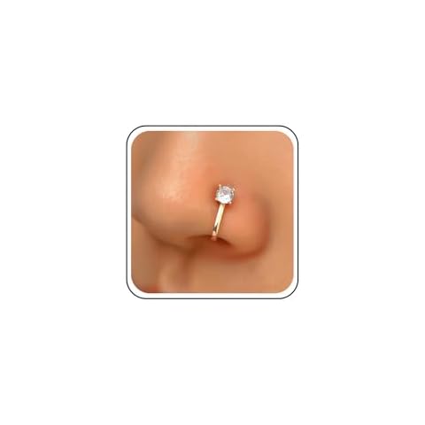 Aneneiceera Vintage Crystal Nose Ring Cover