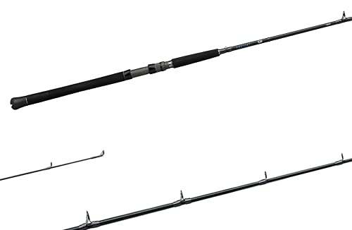 Canne à pêche côtière saltiste Daiwa SIN66MXB 1 section ligne 10-15 lb mer