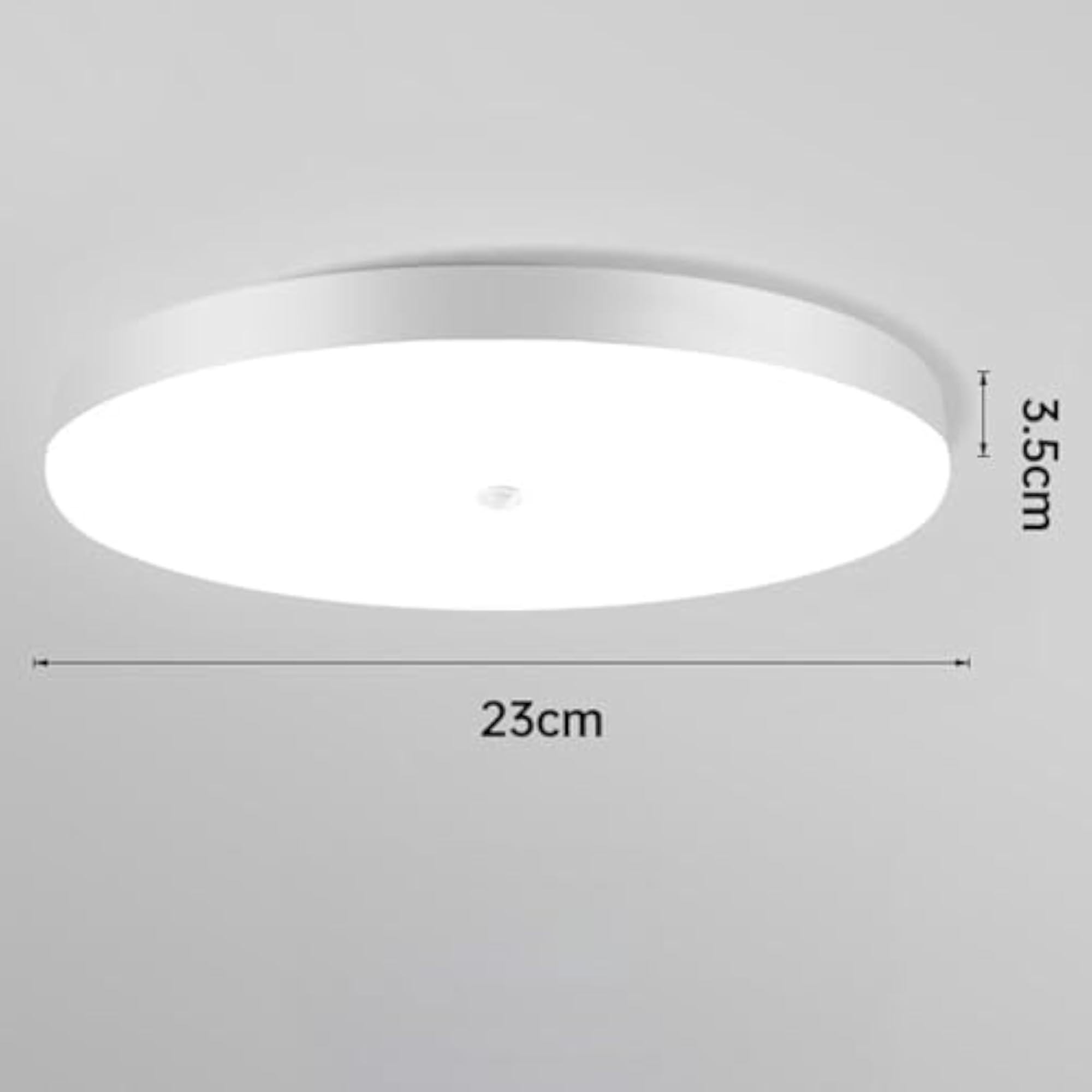 Motion Sensor Ceiling Light Fixture for Entryway