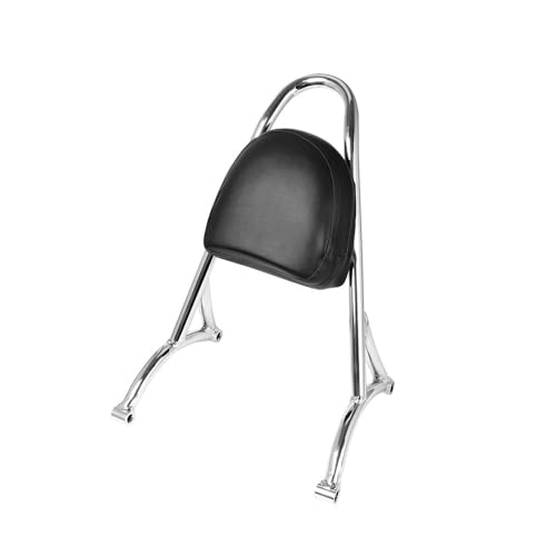 Porte-Bagages Moto avec Dosseret Passager pour Vos Escapades en Sportster XL883 1200 X48