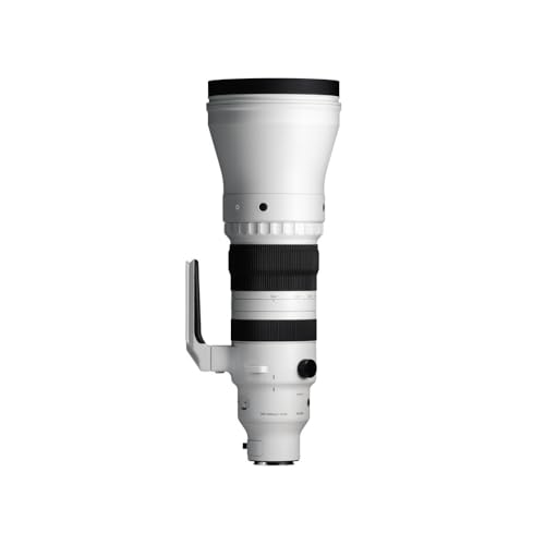 Image of 300-600mm F4 DG OS | Sports