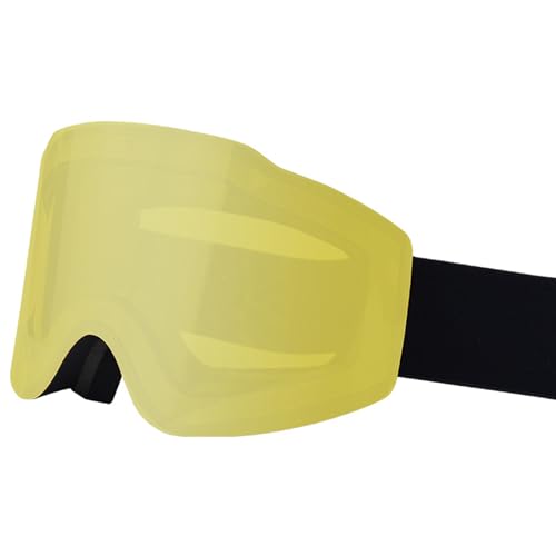 Grandes lunettes de patinage et de ski contre le vent et le froid