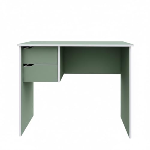 Caratteristiche principali: Scrittoio con due cassetti Dimensioni 90x50x73 cm Colore verde salvia Uso interno Categoria: arredo ufficio e studio