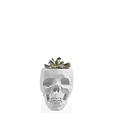 Justplants
