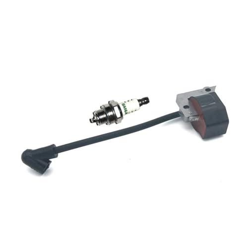 Module de bobine d'allumage haute tension durable référence 369143010 - 4