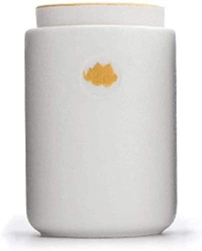 BPIlotDecorative Urns Cremation s Cremation for Pet Ashes Small Keepsake s-Pet Small Funeral s for Ashes Small Keepsake s for Human Ashes