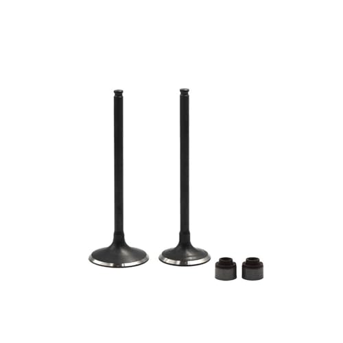 Joint d'huile et tige de soupape pour KLX250 KLX300 durabilité thermique