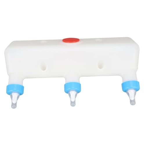 Mangeoire à lait horizontale pour nourrir les agneaux en bergerie